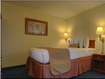 Surestay By Western Chicago 3*